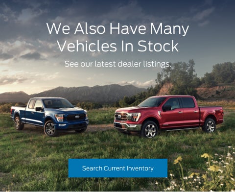 Ford vehicles in stock | Palmetto Ford in Charleston SC
